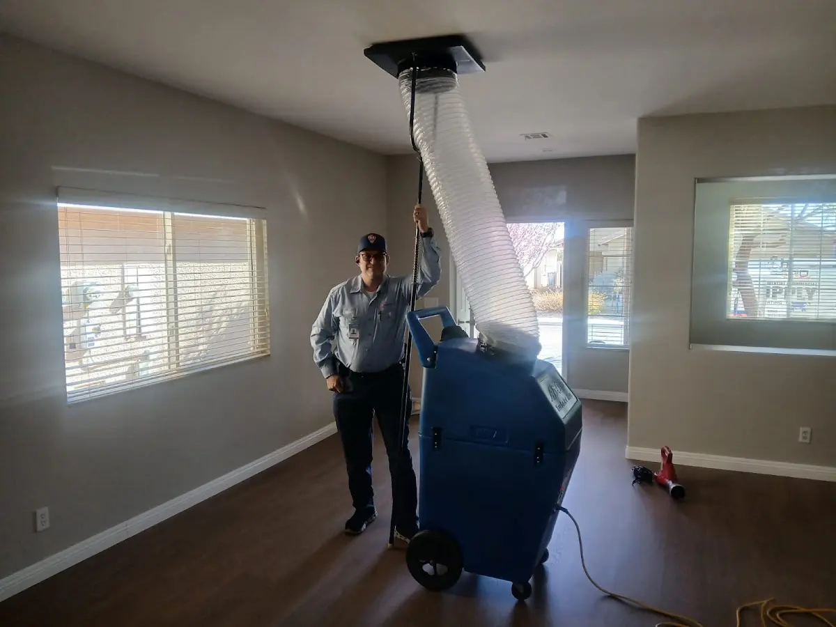 Professional Dryer Vent Cleaning work inside a Dyer home